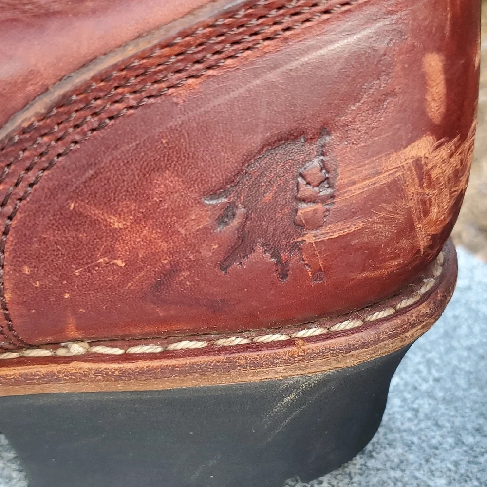 Chippewa step into